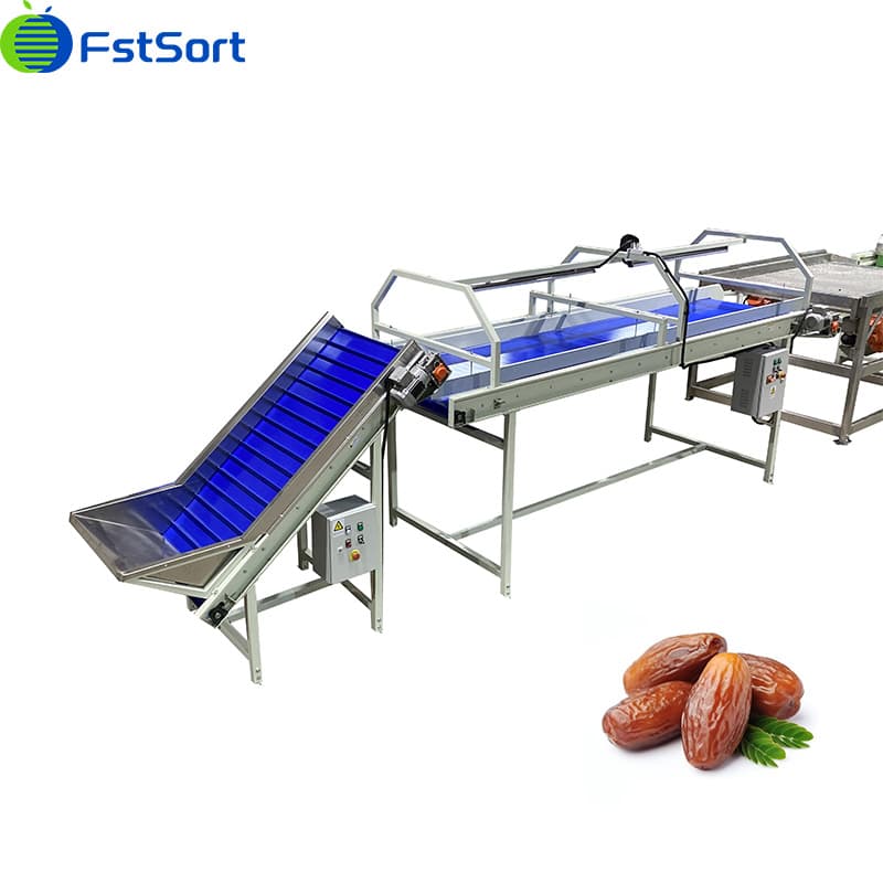 dates jujubes grader.jpg